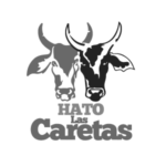 hatog